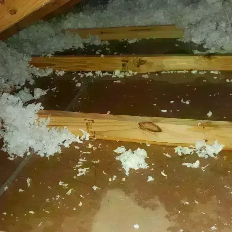 Attic Water Damage in Clarks, LA